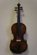 Vijole violes-1.jpg